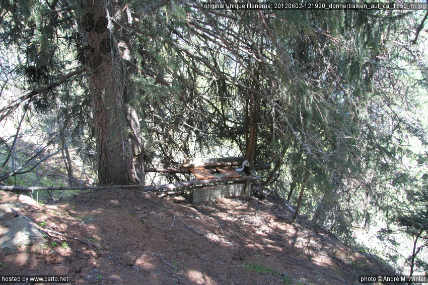 websize photograph